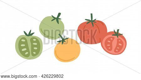 Fresh Whole Tomato Vegetables And Their Cut Half Pieces Of Different Color. Red, Green And Yellow Ve