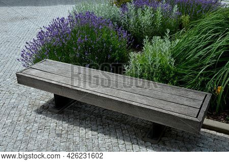 Spring Beds With Lavender Look Elegant And Mediterranean. Although They Do Not Bloom, They Attract W