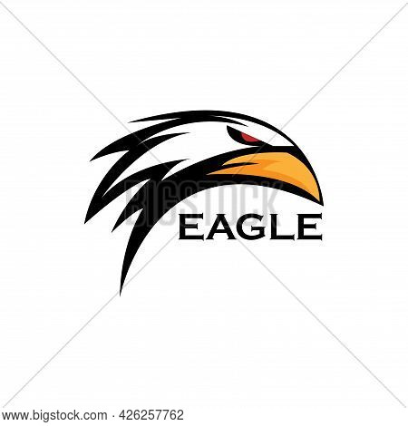Head Eagle Animal Design Vector. Eagle Head Illustration Vector