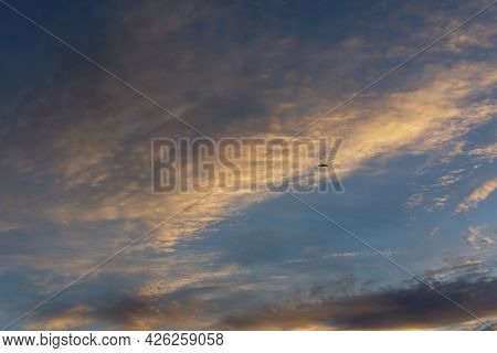 Eagle Sky Beautiful Clouds. A Black Silhouette Of A Bird Of Prey Soaring Among The Clouds. The Conce