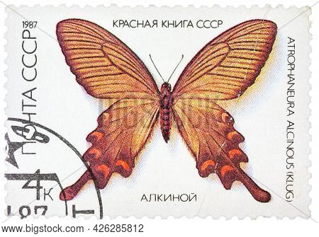 Ussr - Circa 1986: A Stamp Printed In The Ussr Shows Butterfly Alcinous, Series, Circa 1986