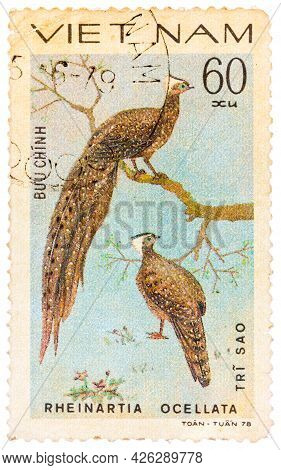 Vietnam - Circa 1978: A Stamp Printed In Vietnam Shows Rheinartia Ocellata Or Crested Argus, Series 