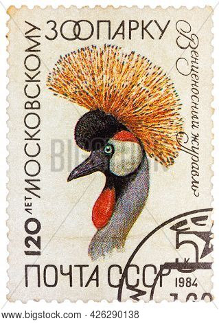 Ussr - Circa 1984: The Postal Stamp Printed In Ussr Shows Balearica Pavonina, Crane, Shadoof, Series