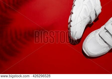 Flat Lay Two White Unisex Sneakers With Velcro With Shadows Of Fern Or Palm Leaves Isolated On A Red