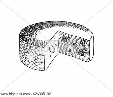 Cheese. Coloring Design Elment For Menu Label Or Banner Poster. Organic Milk Butter Fresh Food. Vect