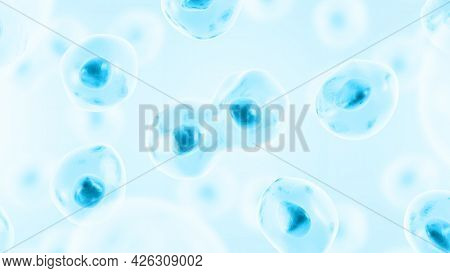 Cell Division. Cell Divides Into Two Cells. Blue Color. 3d Illustration.