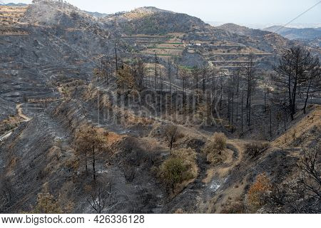 Mountain Fire With Burned Agriculture Land And Forest. Odou Village Cyprus. Disaster Of The Environm