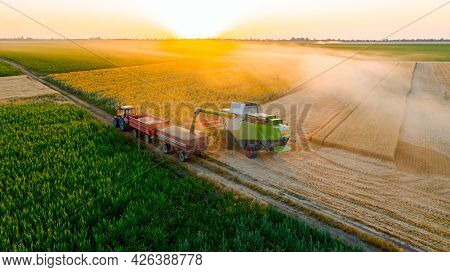 Aerial View Of Transshipment From Agricultural Harvester, Combine To The Trailer, Unloading Harveste
