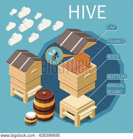 Hive Construction Isometric Background With Cap Frames Body Bottom Arrival Board Elements Vector Ill