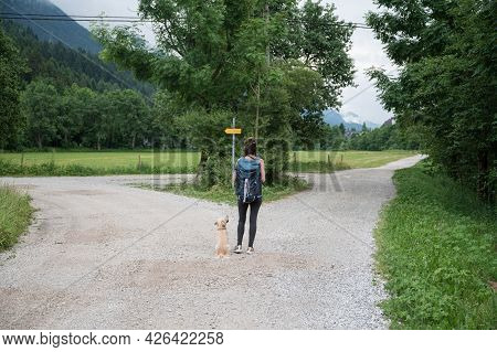 View From Behind Of A Young Woman With Her Dog Standing At A Crossing Of Trails In Beautiful Green S