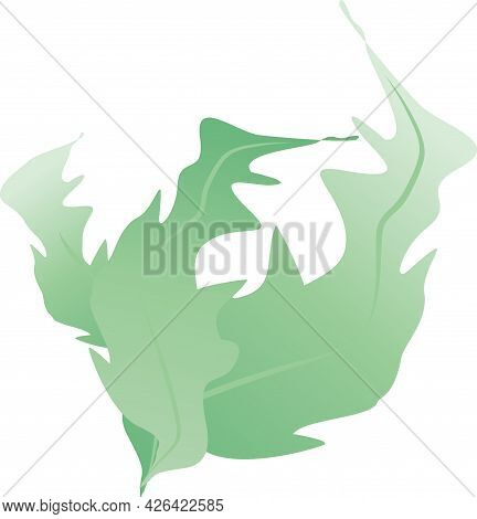 Delicate Petals, Peach-colored Flowers, Buds. The Leaves Are Green, Mint-colored, Khaki-colored. Bot
