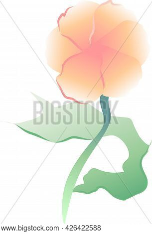 Delicate petals, peach-colored flowers, buds. The leaves are green, mint-colored, khaki-colored. Bot