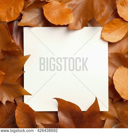 Frame Of Autumn Leaves And Blank Paper Card. Crative Flat Lay Composition. Top View. Thanksgivining 