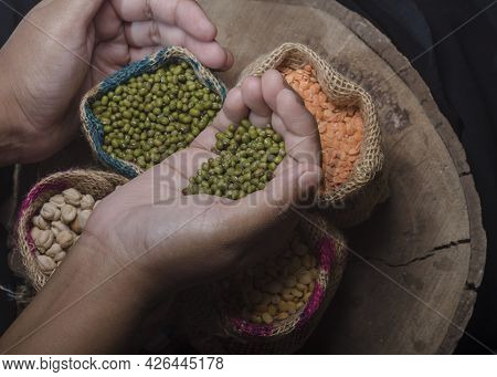 Asian Man Holding Fresh Green Gram On Palm, Nutritionally Rich In Protein And Other Vitamin.