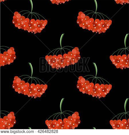 Viburnum Colorful Seamless Pattern Red Fruit On Black Art Design Elements Stock Vector Illustration 