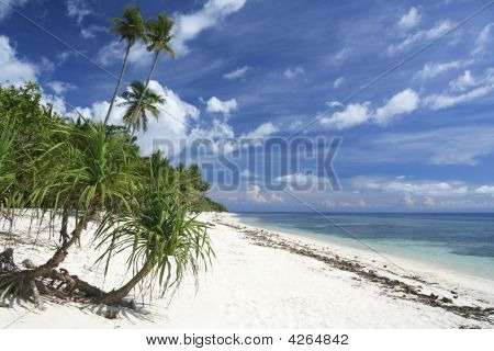 Praia tropical