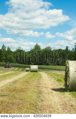 Agricultural Field During Harvesting And Making Hay Bales For Livestock