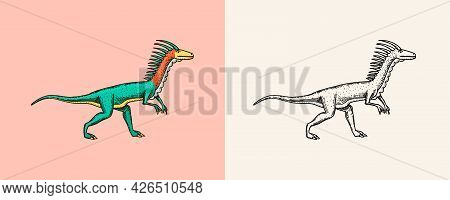 Dinosaurs Deinonychus, Skeletons, Fossils. Prehistoric Reptiles. Engraved Vintage Hand Drawn Sketch 