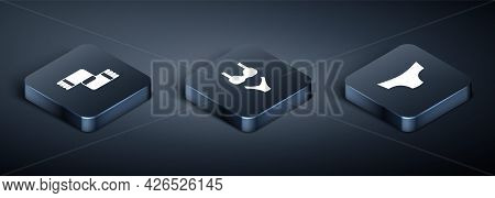 Set Isometric Winter Scarf, Men Underpants And Swimsuit Icon. Vector