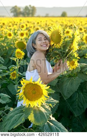 Woman In White Dress Standing In A Field Of Sunflowers In Summer Bloom. Dixon, Solano County, Califo