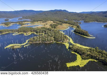 Aerial Over Land, Algae And Dead Trees In Water Catchment Environment Of Teemburra Dam Queensland Au