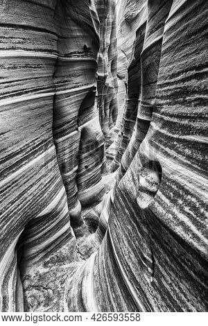 Zebra Canyon is a vivid striped and very narrow gorge. The awsome zig-zag shapes were created by water. Grand Staircase-Escalante National Monument, Utah. USA. Black and white