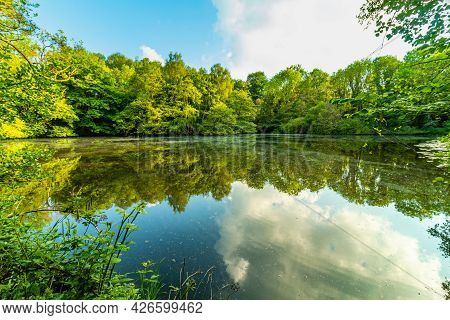 Lake In National Forest In England Near City Ashby