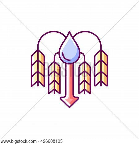 Crop Shortage Due To Water Resources Lack Rgb Color Icon. Isolated Vector Illustration. Growing Wate