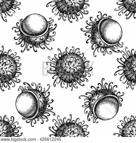 Seamless Pattern With Black And White Rambutan Stock Illustration