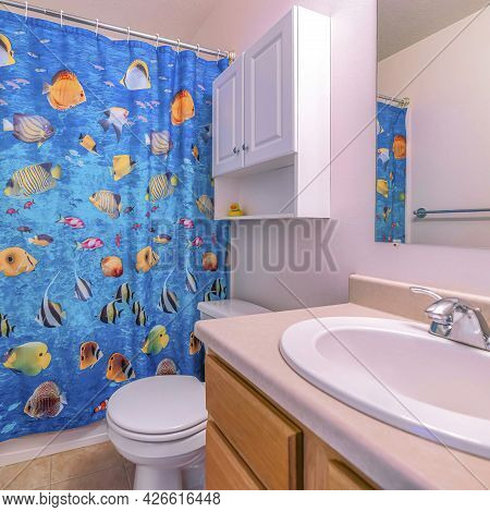 Square Oval Sink And Wall Mirror Beside Toliet And Wall Cabinet Inside A Small Bathroom