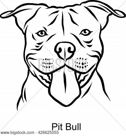 Pit Bull Portrait Dog In Line Style - Pet Portrait In Light Style Head Isolated On White