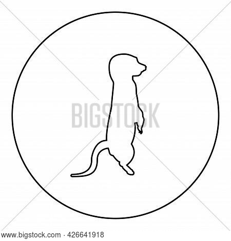 Meerkat In Pose Suricata Suricatta Silhouette In Circle Round Black Color Vector Illustration Contou
