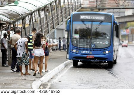Passenger Bus In Salvador