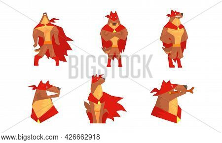 Muscular Brown Dog In Superhero Red Cloak As Guard Vector Set