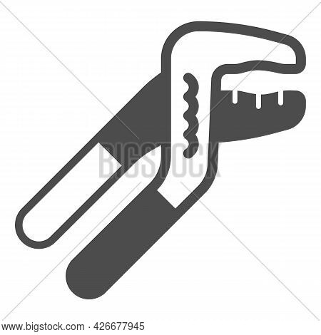 Sliding Pliers Solid Icon, Construction Tools Concept, Slip Joint Pliers Vector Sign On White Backgr