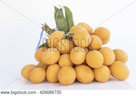 Maprang Or Plum Mangos Tied In Bunches Place On The White Background. Thai Summer Fruit Has A Sweet 