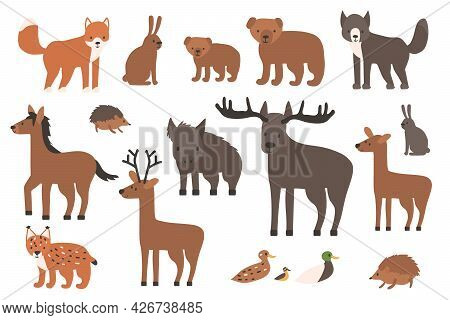 Set Of Cute Forest Animals. Cartoon Isolated Vector Fox, Wolf, Bear, Bear Cub, Elk, Deer, Fallow Dee