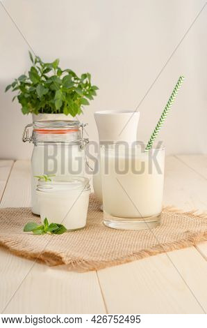 Dairy Starter Culture For The Preparation Of Fermented Milk Products, Yogurt, Kefir, Fermented Baked