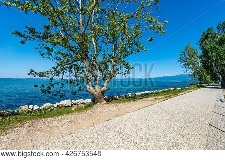 Bicycle And Pedestrian Lane On The Coast Of Lake Garda That Connects The Towns Of Lazise, Cisano, Ba