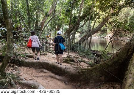 Tourists Walking Along The Scenic River Bank Of Tahan River With Lush Rainforest Foliage At Taman Ne