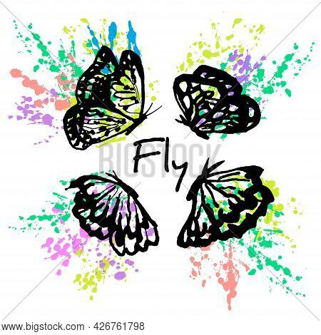 Exotic Tropical Butterflies Flying Around The Text