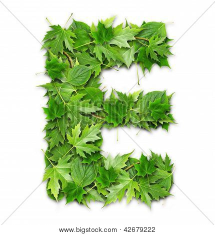 Lettre des feuilles