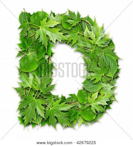 Lettre des feuilles