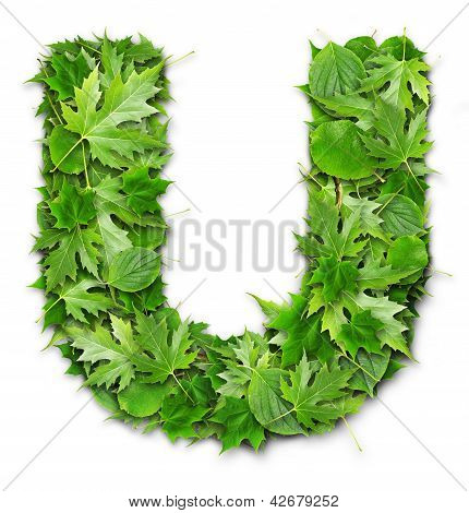 Lettres de feuilles