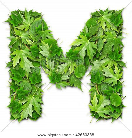 Lettres de feuilles