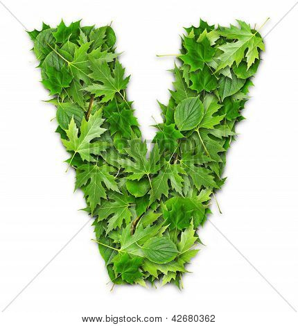 Lettres de feuilles