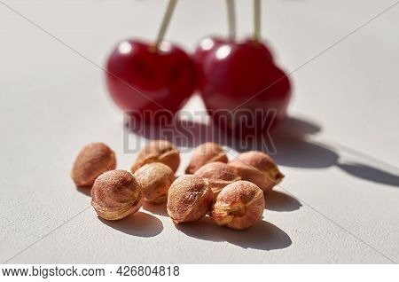 Red Ripe Cherry And Lots Of Cherry Pits On A Gray Textured Background. Macro