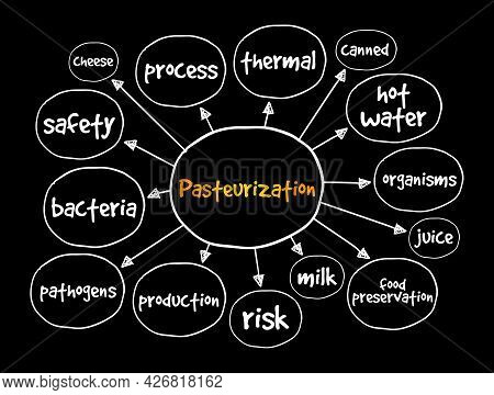 Pasteurization Mind Map, Concept For Presentations And Reports
