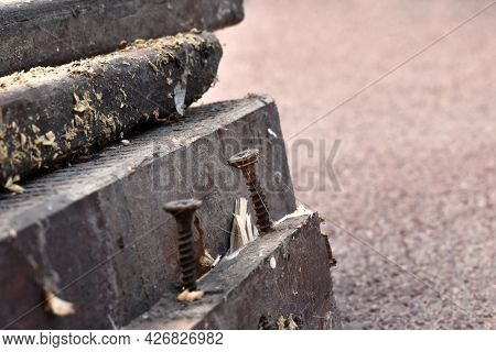 Screw On Old Wood.  Selective Focus.  Copy Space Is On The Right Side.