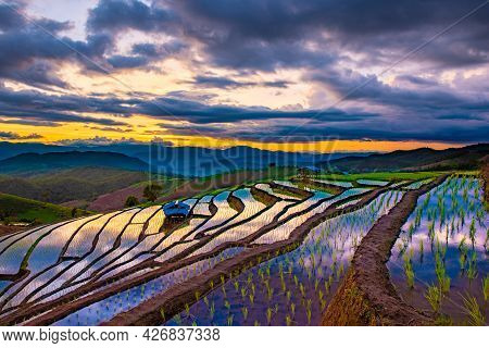 The Beautiful Scenery Of The Terraced Rice Fields At Ban Pa Pong Piang In Chiang Mai, Thailand.
